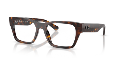 Brille Ray-Ban RX5448 2012