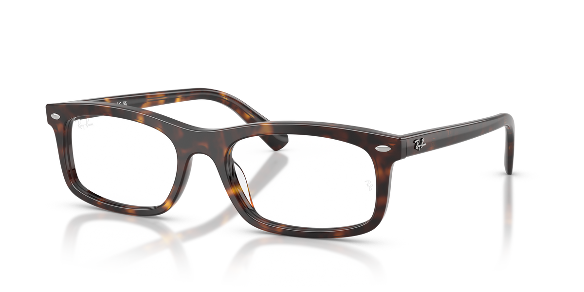 Brille Ray-Ban RX5450 2012
