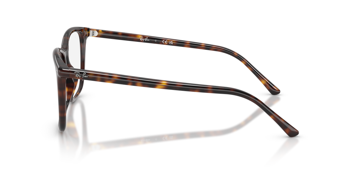 Lunettes de vue Ray-Ban RX5455 2012 52 / 54 17