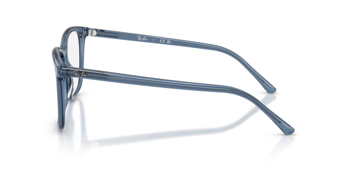 Lunettes de vue Ray-Ban RX5455 8223 52 / 54 17