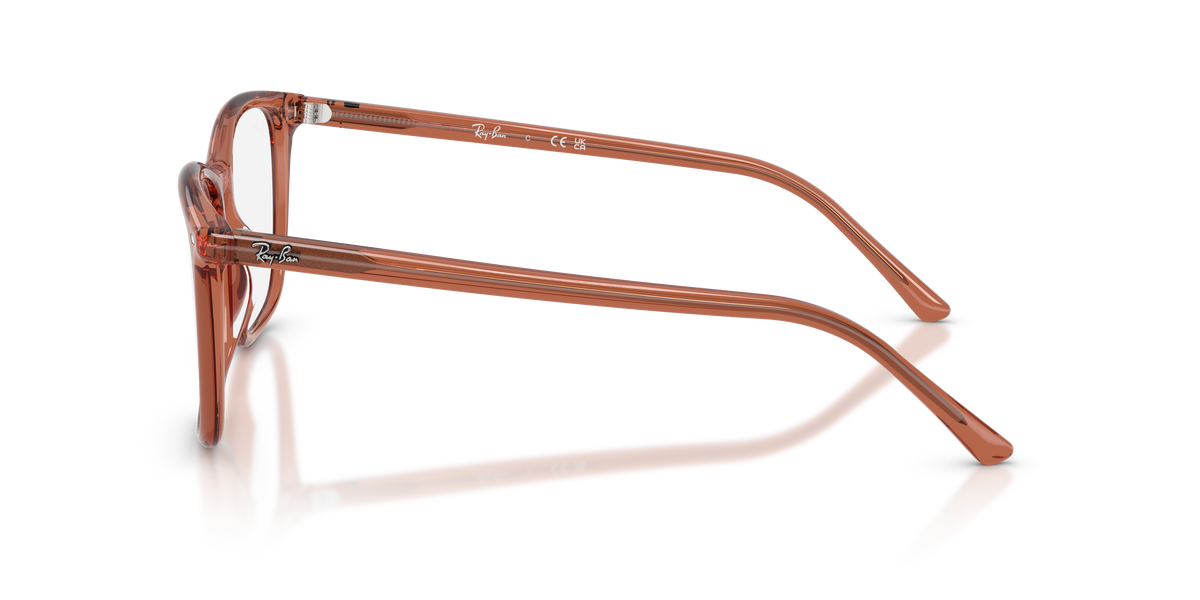 Lunettes de vue Ray-Ban RX5455 8511 52 / 54 17