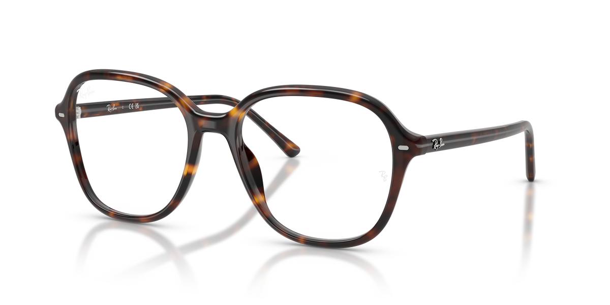 光学眼镜架 Ray-Ban RX5456 2012 54 / 56 18