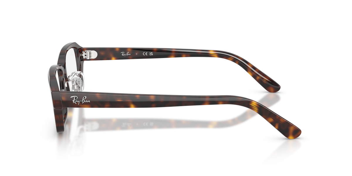 Gafas Graduadas Ray-Ban RX5458D 2012 54 17
