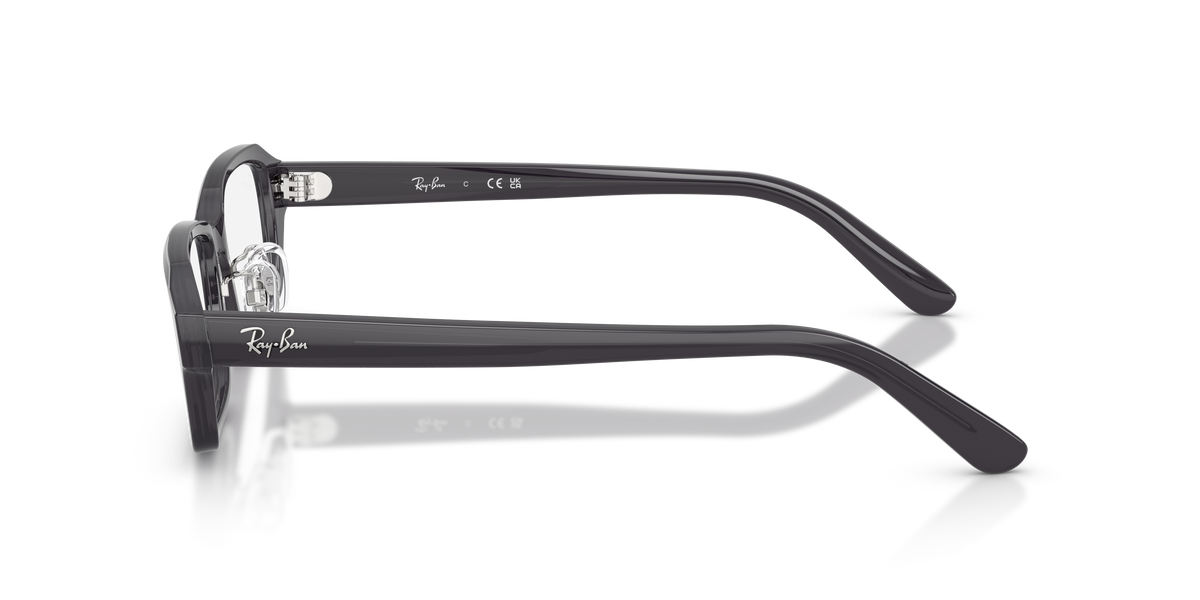 光学眼镜架 Ray-Ban RX5458D 5920 54 17