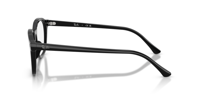 Gafas Graduadas Ray-Ban RX5460 2000 50 / 52 20 — vista 2