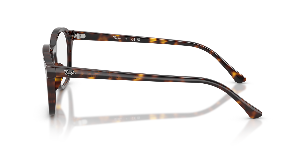 Lunettes de vue Ray-Ban RX5460 2012 50 / 52 20
