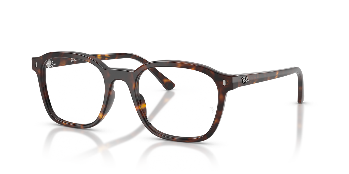 Lunettes de vue Ray-Ban RX5460 2012 50 / 52 20