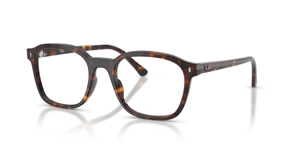 光学眼镜架 Ray-Ban RX5460 2012 50 / 52 20