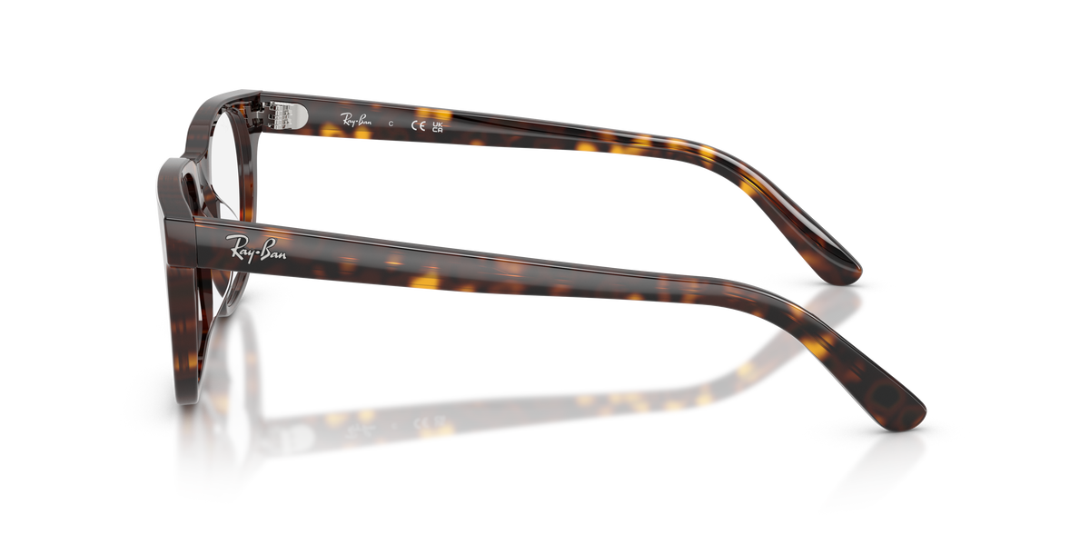 Brillenfassung Ray-Ban RX5461D 2012 51 20