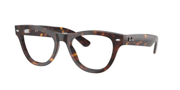 Gafas Graduadas Ray-Ban RX5510 2012