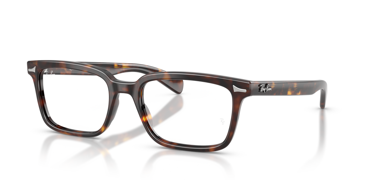 光学眼镜架 Ray-Ban Brunel RX5534 2012 53 / 55 19