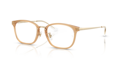 Prescription Glasses Ray-Ban RX7247D 8473 51 19