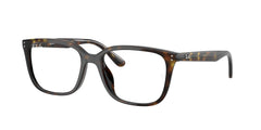 Brille Ray-Ban RX7248D 2012 55 18