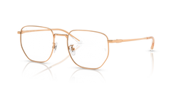 Ray-Ban RX8776D 1248 53 19 光学眼镜
