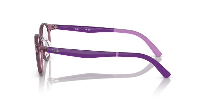 Оправа для очков Ray-Ban Ry1625D RY1625D 3909 47 17 — vista 2