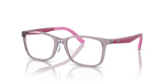 里尔·罗曼·罗曼(RY1626D 391249 16) Ray-Ban