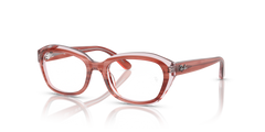 RAU 1636 RAU 1636 3988 46 17 号 Ray-Ban RY1636