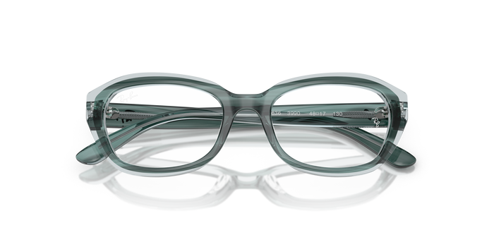 RAU 1636 RAU 1636 3990 48 17 号 Ray-Ban RY1636 — vista 6