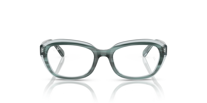 RAU 1636 RAU 1636 3990 48 17 号 Ray-Ban RY1636 — vista 5