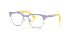 里尔1641 7506 46 17 Ray-Ban RY1641