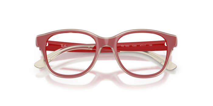 里尔1950 7204 46 17 Ray-Ban RY1950 — vista 6