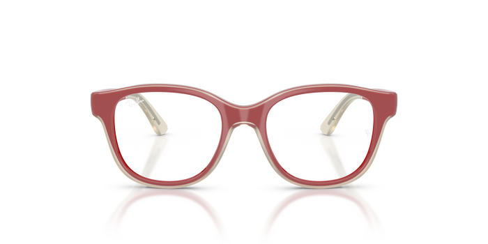 里尔1950 7204 46 17 Ray-Ban RY1950 — vista 5