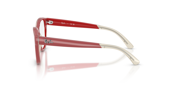 里尔1950 7204 46 17 Ray-Ban RY1950 — vista 2