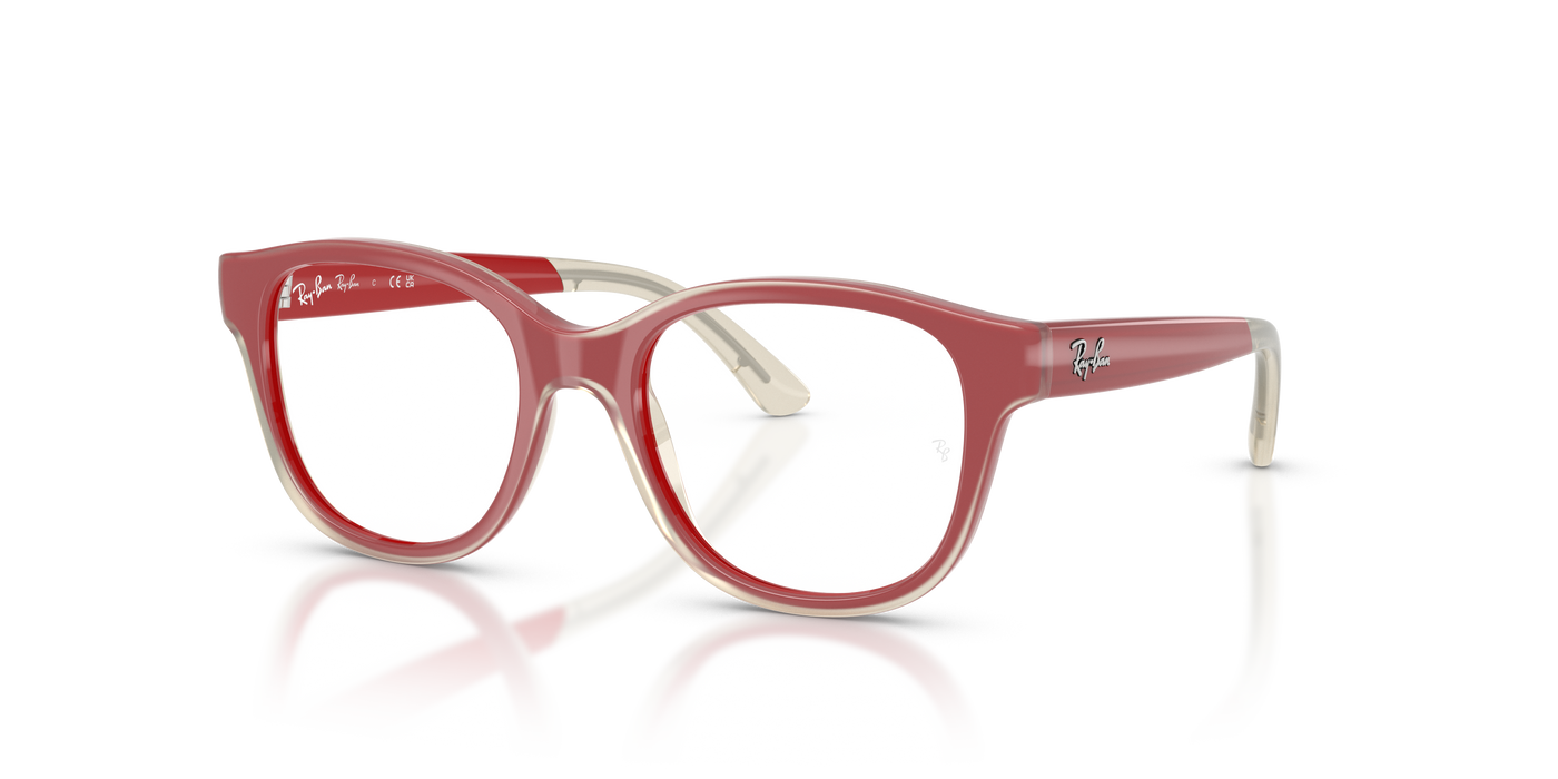 里尔1950 7204 46 17 Ray-Ban RY1950