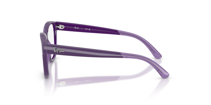 里尔1950 7206 44 17 Ray-Ban RY1950 — vista 2