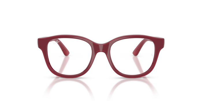 里尔1950 7207 46 17 Ray-Ban RY1950 — vista 5