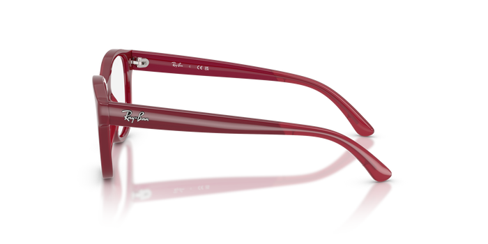 里尔1950 7207 46 17 Ray-Ban RY1950 — vista 2