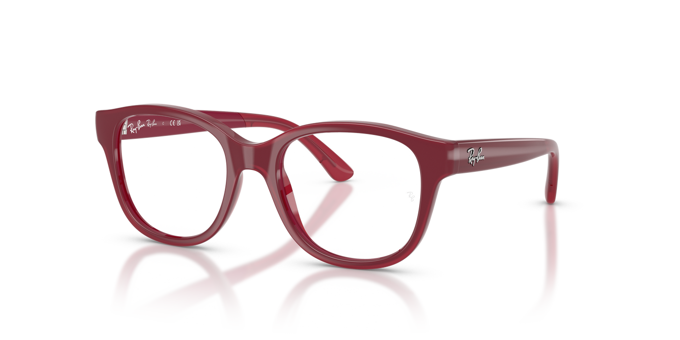 里尔1950 7207 46 17 Ray-Ban RY1950