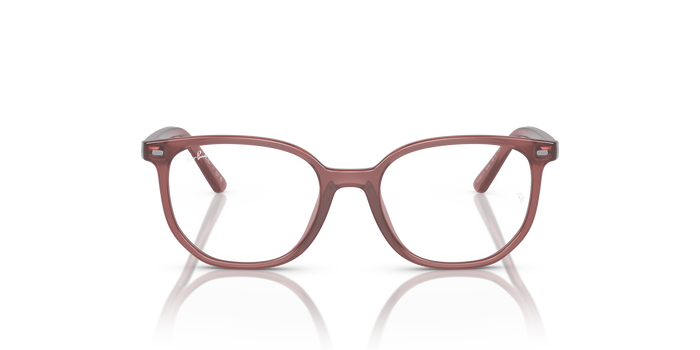 Оправа для очков Ray-Ban Junior Elliot RY9097V 3936 46 16 — vista 5