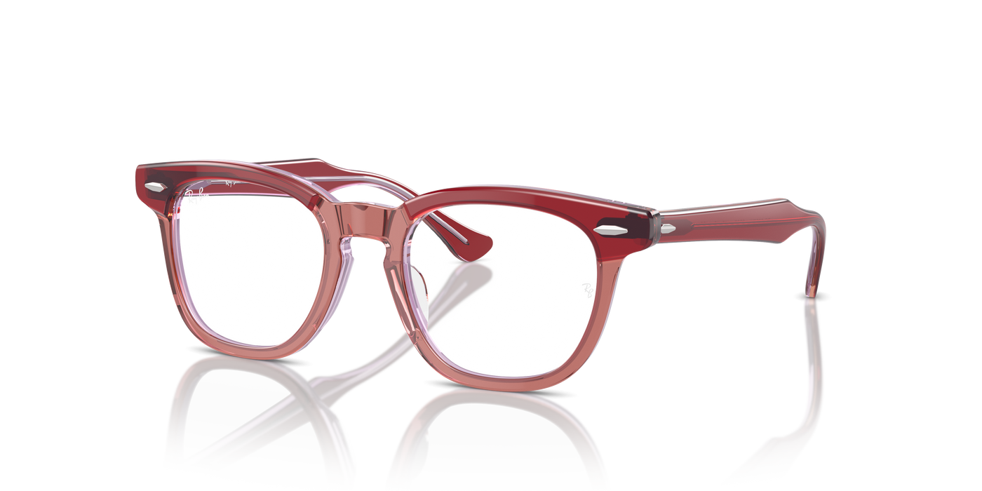 ⁇ 9098V  ⁇ 9098V 396043 18 Ray-Ban RY9098V