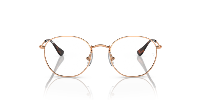 雷班小罗布 RY9572V 4089 46 19 Ray-Ban — vista 5