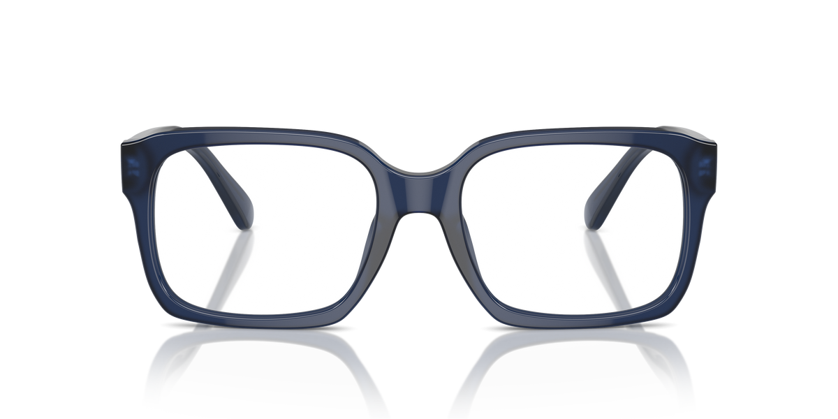 Brille Sferoflex SF1152 C640 56 19