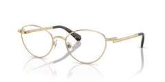 Оправа для очков Swarovski Sk1002 SK1002 4013 53 19