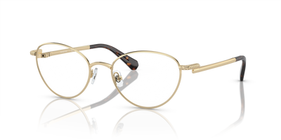Prescription Glasses Swarovski Sk1002 SK1002 4013 53 19