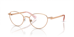 Оправа для очков Swarovski Sk1002 SK1002 4014 51 19