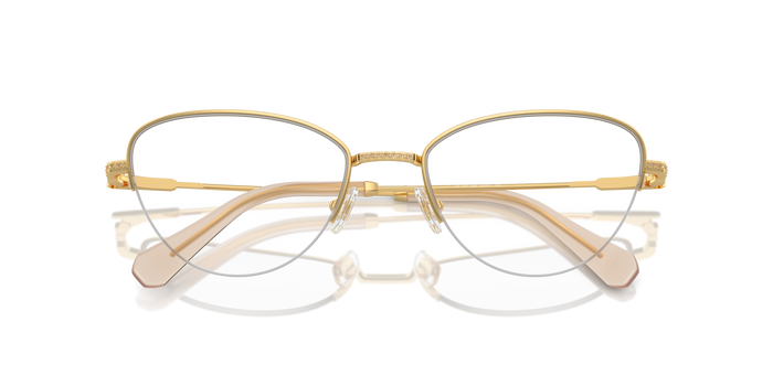 散射的斯瓦罗夫斯基 Swarovski Sk1010 SK104004 53 19 — vista 5