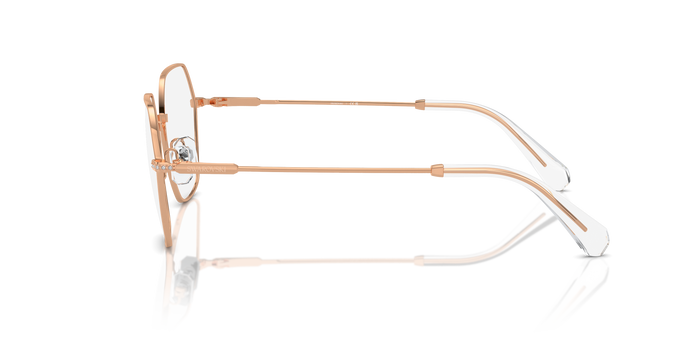 Korrektionsbrille Swarovski Sk1011 SK1011 4014 53 18 — vista 2