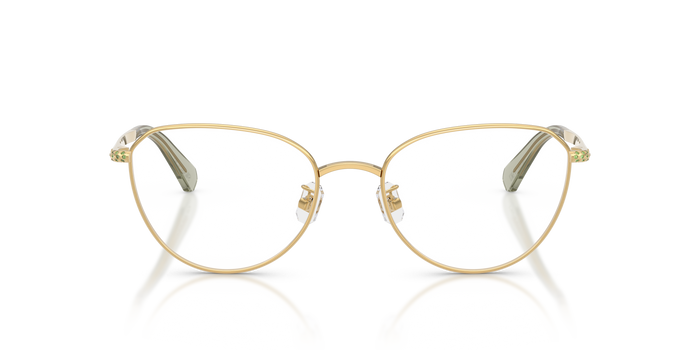 Gafas de Sol Swarovski SK1029D 4017 54 19 — vista 2