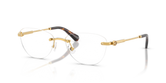 Gafas de Sol Swarovski SK1035D 4007 55 17