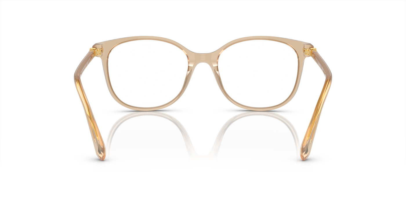Gafas Graduadas Swarovski Sk2002 SK2002 1034 51 17 · vista 3
