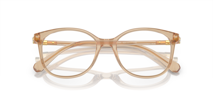 Korrektionsbrille Swarovski Sk2002 SK2002 1034 51 17 — vista 5