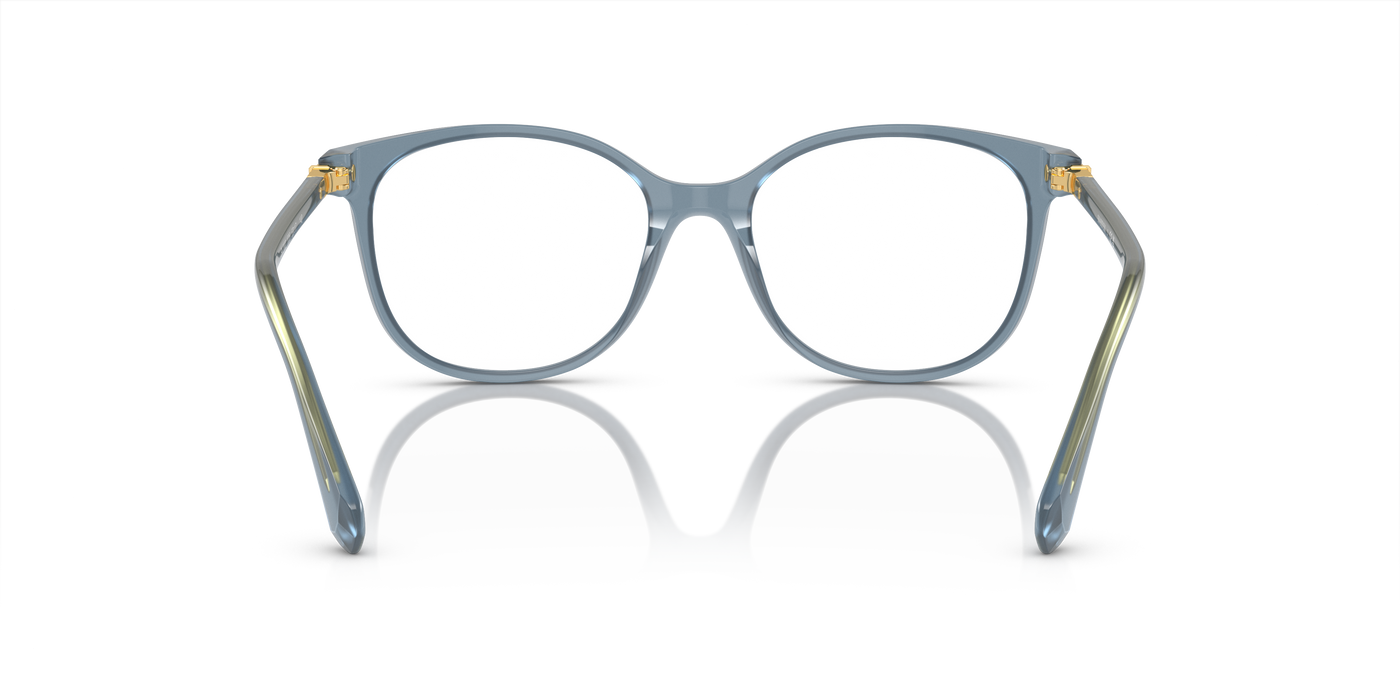 Gafas Graduadas Swarovski Sk2002 SK2002 1035 53 17 · vista 3