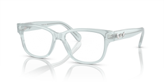 Gafas de Sol Swarovski SK2007 1024 52 16