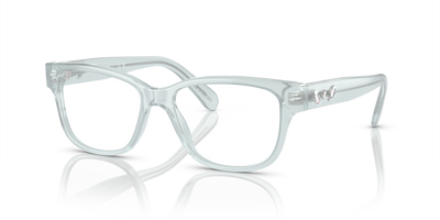 Gafas de Sol Swarovski SK2007 1024 52 16