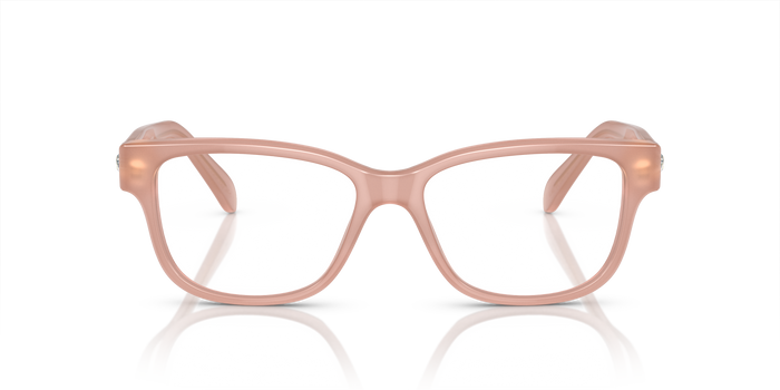 Sunglasses Swarovski SK2007 1025 52 16 — vista 2