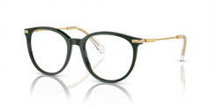 Gafas de Sol Swarovski SK2009 1026 52 17